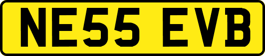 NE55EVB
