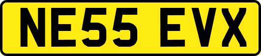 NE55EVX