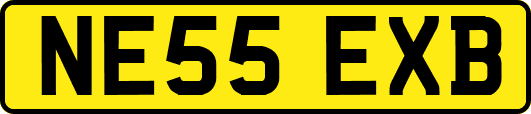 NE55EXB
