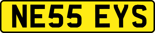 NE55EYS