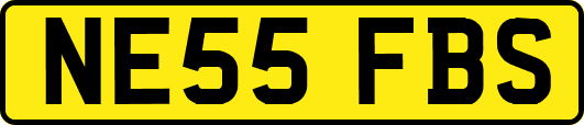 NE55FBS