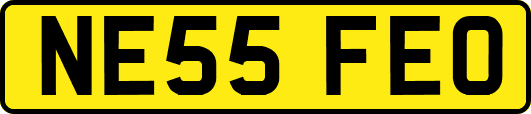 NE55FEO