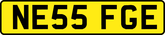 NE55FGE