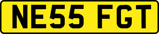 NE55FGT