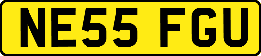 NE55FGU