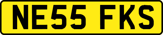 NE55FKS