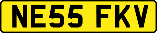NE55FKV