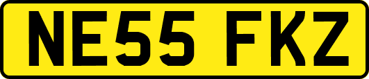 NE55FKZ