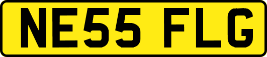 NE55FLG