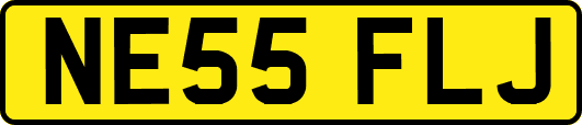 NE55FLJ