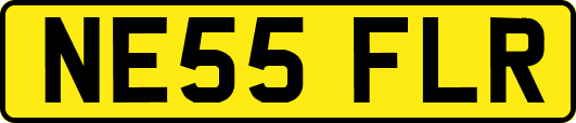 NE55FLR