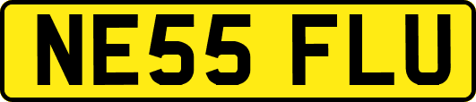 NE55FLU