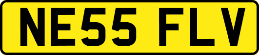NE55FLV
