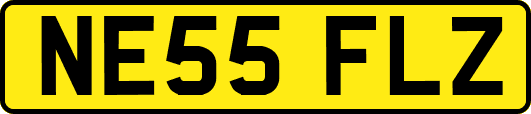 NE55FLZ