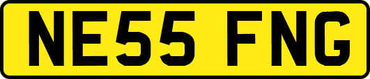 NE55FNG