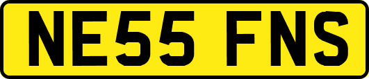 NE55FNS