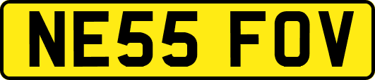 NE55FOV