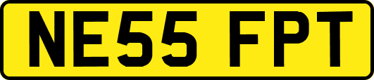 NE55FPT