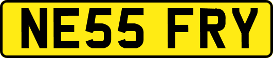 NE55FRY