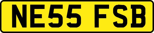 NE55FSB