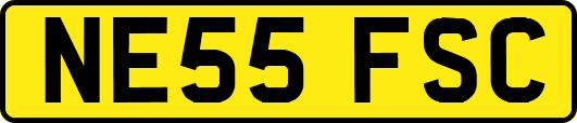 NE55FSC