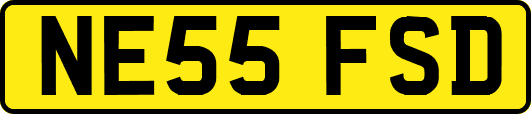 NE55FSD