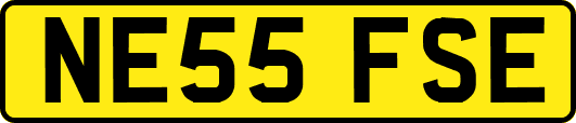 NE55FSE