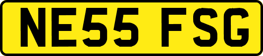 NE55FSG