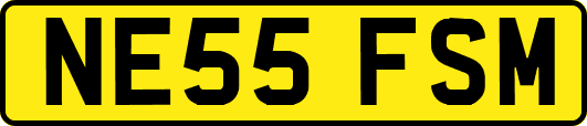 NE55FSM