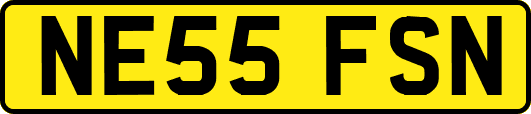 NE55FSN