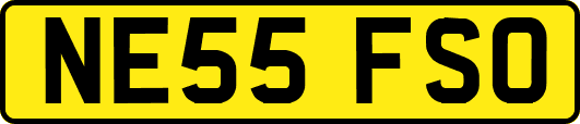 NE55FSO