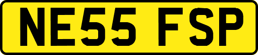 NE55FSP