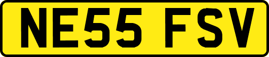 NE55FSV