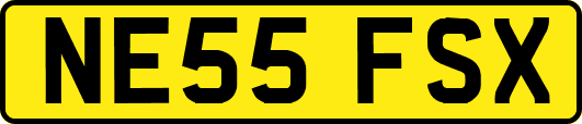 NE55FSX