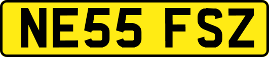 NE55FSZ