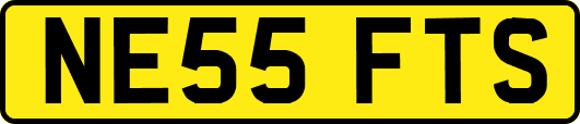 NE55FTS