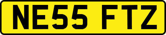 NE55FTZ