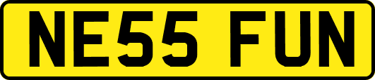 NE55FUN