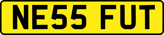 NE55FUT