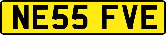 NE55FVE