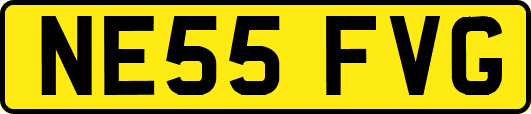 NE55FVG