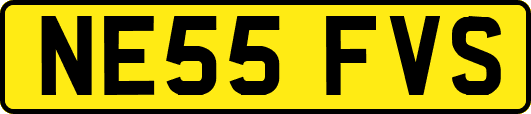 NE55FVS