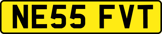 NE55FVT
