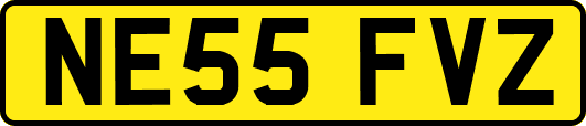 NE55FVZ