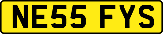 NE55FYS