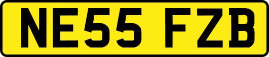 NE55FZB