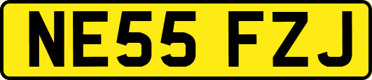 NE55FZJ