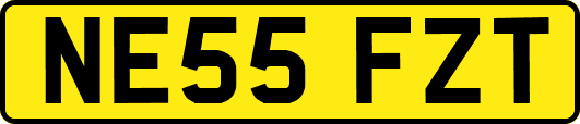 NE55FZT