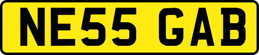 NE55GAB