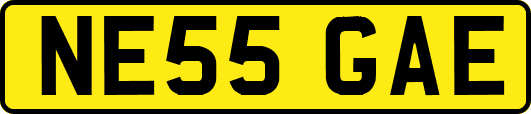 NE55GAE